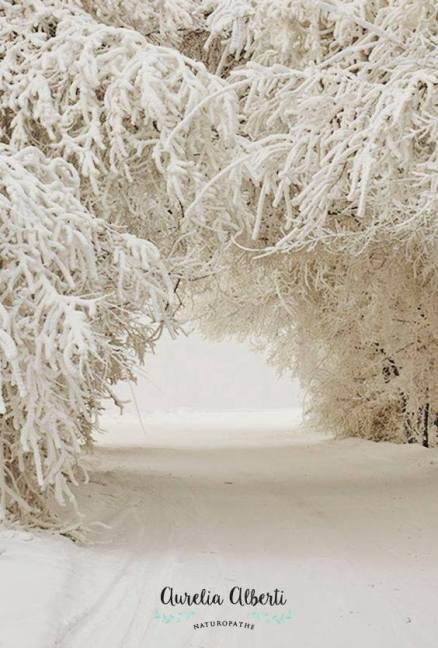 26112024_936617236486545_8521370190206901783_n