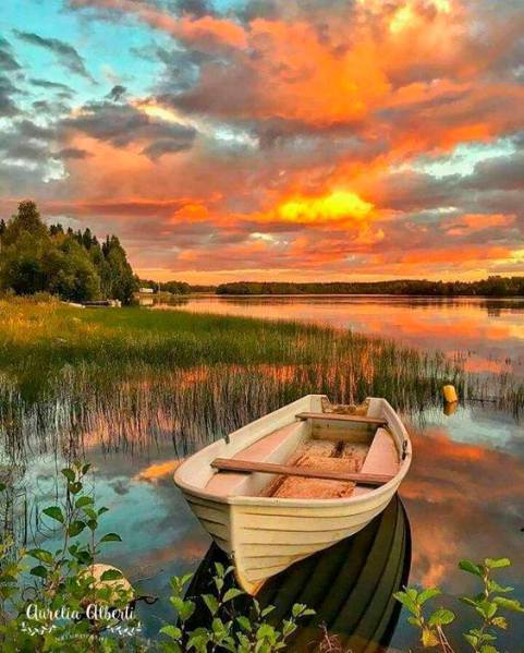 26231422_941475592667376_6496747293531712360_n